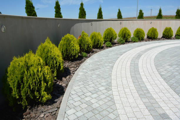 Driveway Repair Near Me in Morgantown, WV